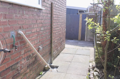 Nature's beauty, steps away