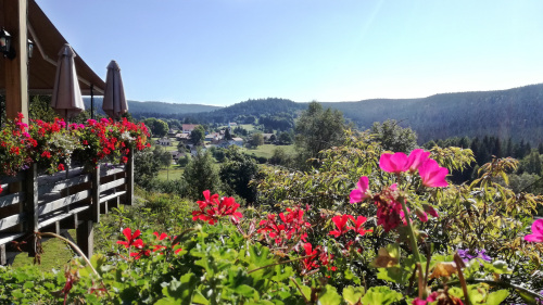 Le village de Liézey en été depuis la terrasse