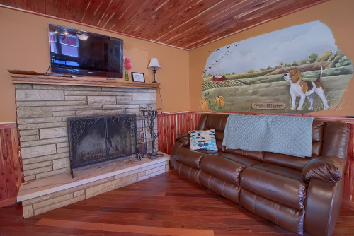 Living Room, with Wood-Burning Fireplace and DirecTV, Southern Belle Lodge