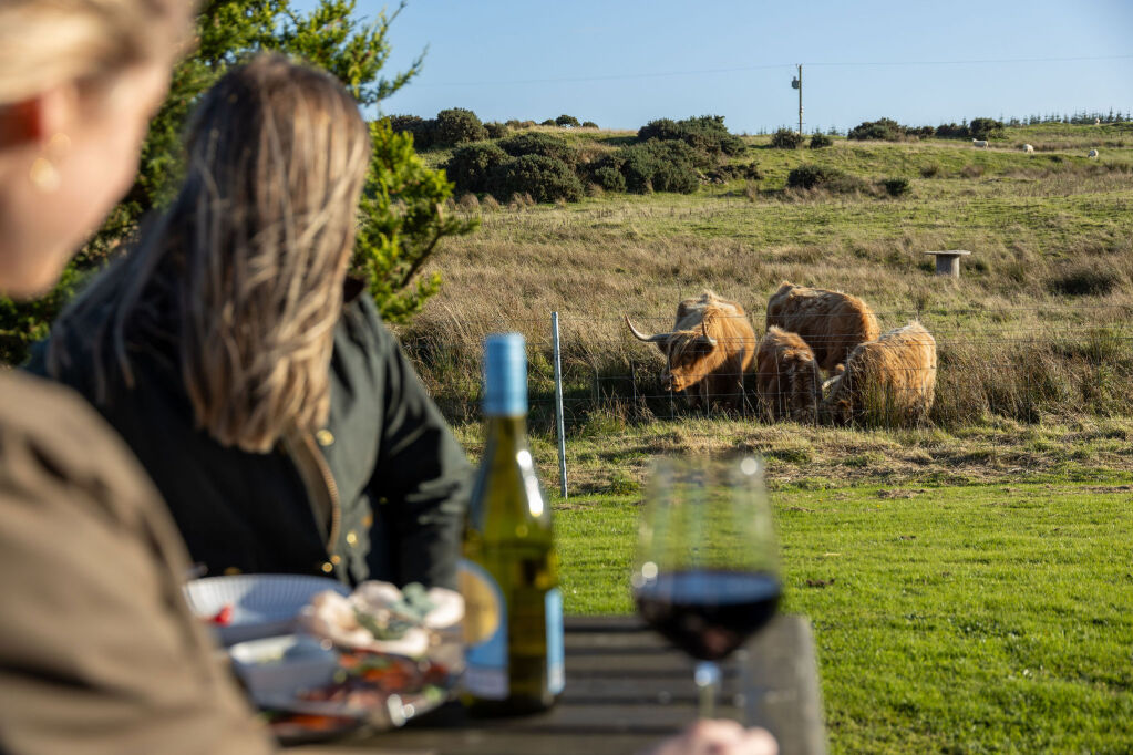 [{'Text': 'View of highland cows from terrace', 'CultureCode': 'en-GB'}] glamping cabins and grounds, photo 9 of 32