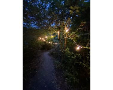 Pathway leading up to the pods