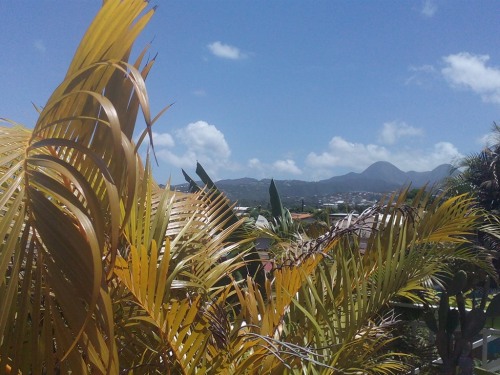 Vue ville et montagne