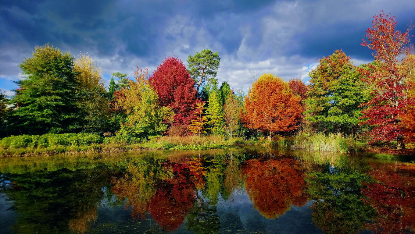Arboretum des grandes bruyères