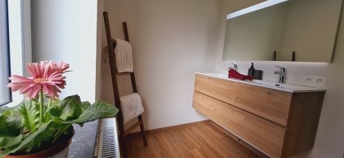 Salle de bain avec douche italienne