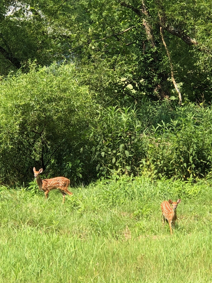 Bittersweet Farm Cabins Christmas Cabin by Bittersweet Farm Cabins