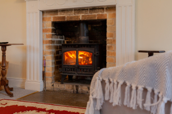 Living Room / Lounge - Living Room Fire; Grange