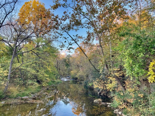 Nearby Mill Creek in fall