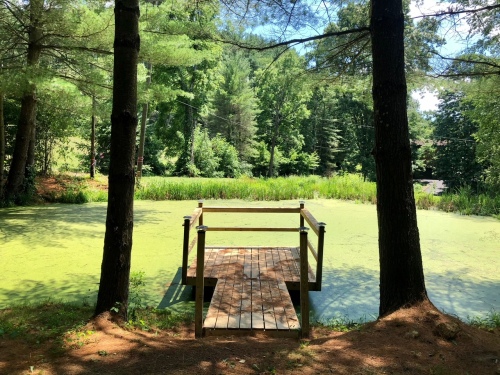 The pond in front of the cabin has a private dock great for some cabin fishing!