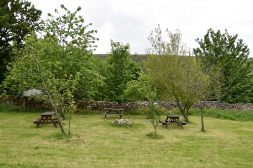 Seating Area with Fire Pit