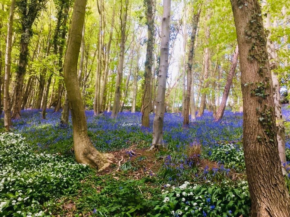 Castle View Bed And Breakfast, Morpeth Homepage