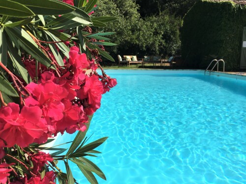 Villa Fontane Cottage - Grande piscine chauffée 10x5m