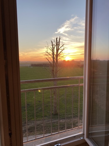 Aussicht aus dem Wohnbereich (Sonnenuntergang)