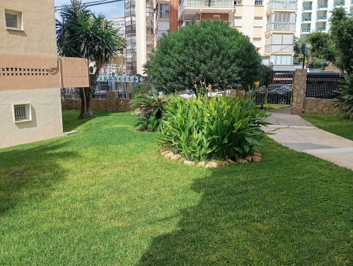 Jardin