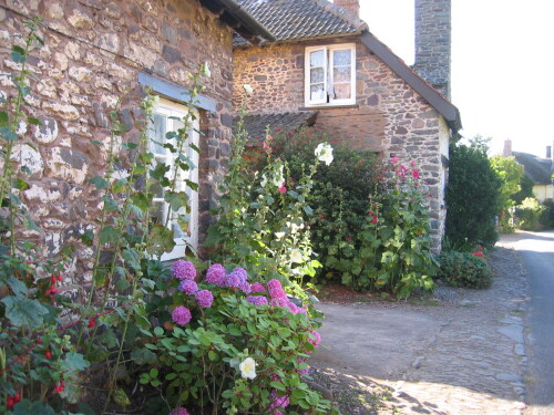 Bossington Village cottage with flowers growing alongside