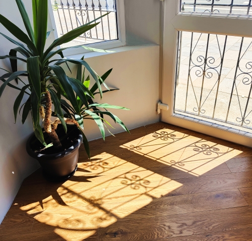 2 bedroom boutique art apartment