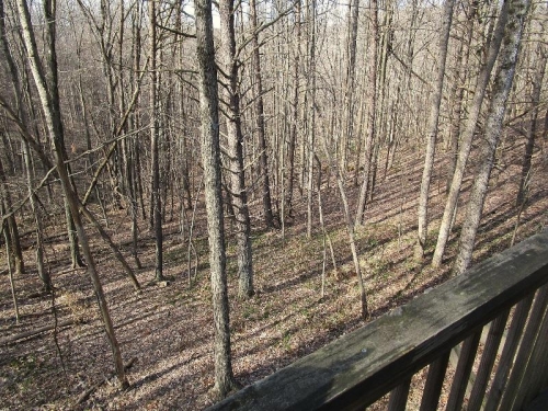 Another deck view in the early spring