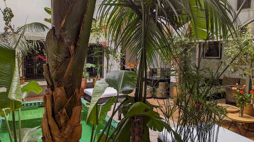Patio 1