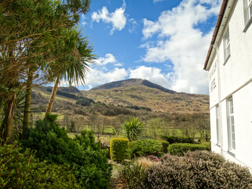 Views from the house garden