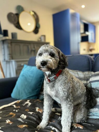 Its comfy on my blanket