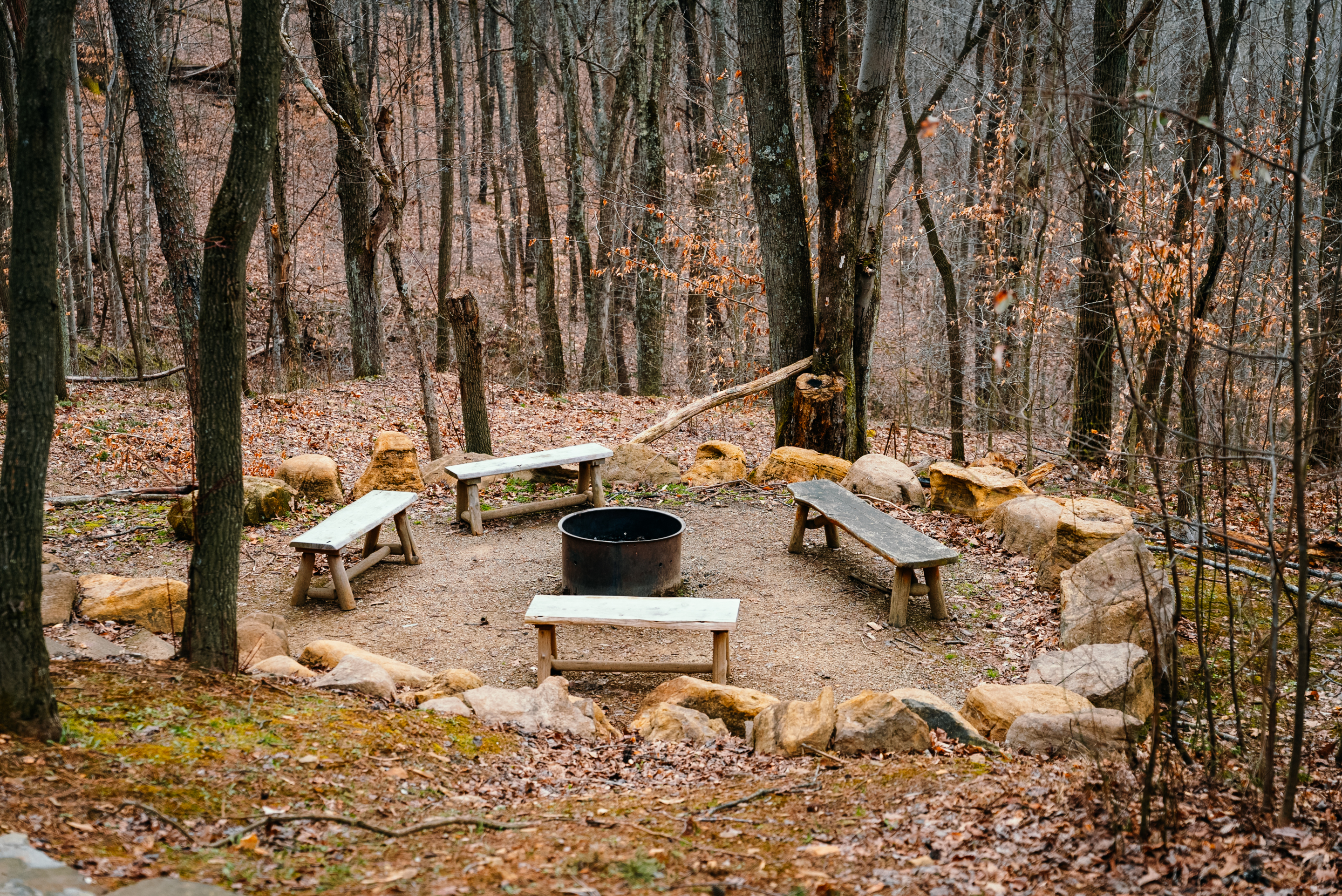 Gray Wolf Lodge | Photo 47