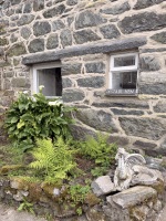 YStabl Hen - The Old Stable 