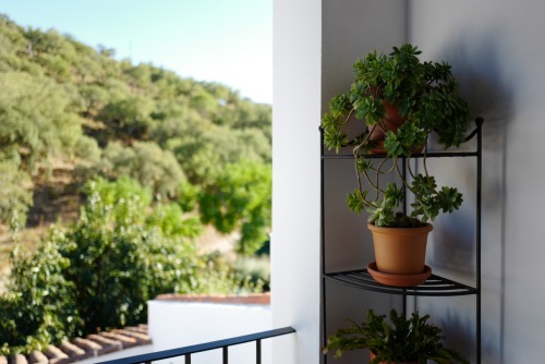 View from terrace off main bedroom