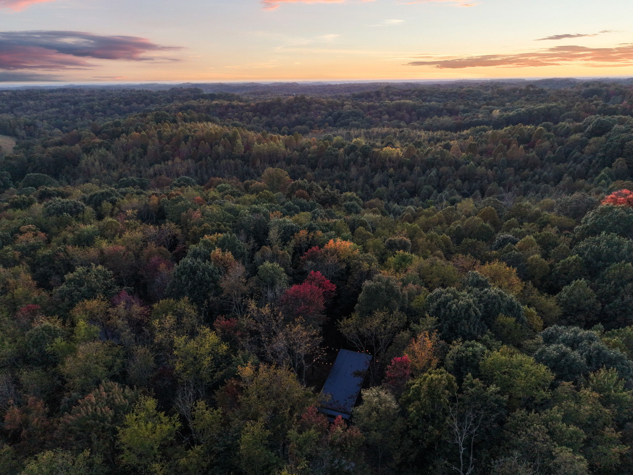 Ironwood | Photo 40