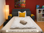 Living room with pull-out sofa bed (1,4m wide sleeping area)