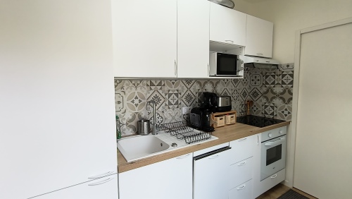 cuisine équipée (four/lave vaisselle/induction....)