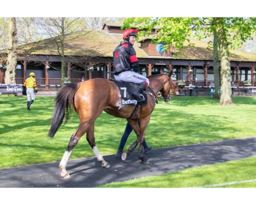 Catch the races at Aintree racecourse