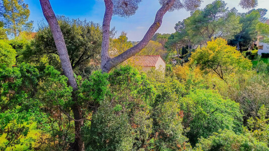 View from the terrace