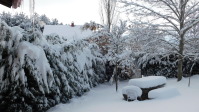 Jardín en invierno