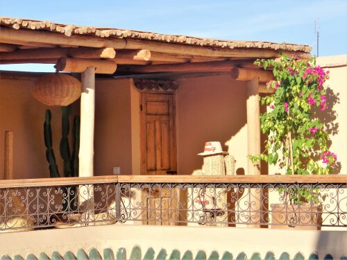 The terrace & pergola