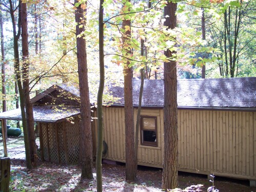 Rear view of cabin