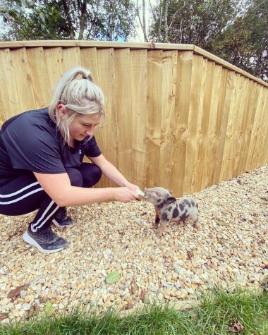 Book onto our animal tours