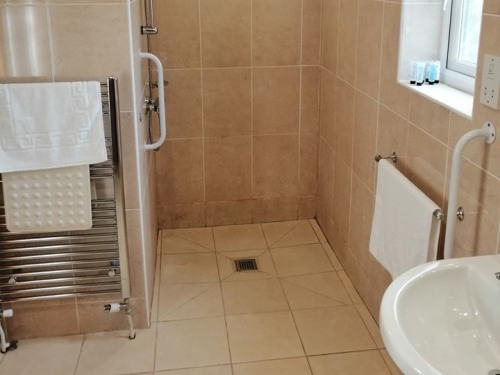 Disabled bathroom with walk-in shower, grab rails (no bath)