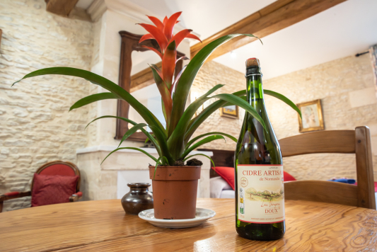 Cadeau de bienvenue (Studio - 1er étage)