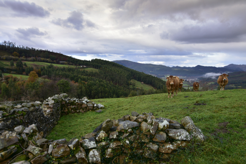 Montaña