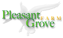 Pleasant Grove Farm LLC