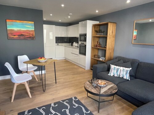 Harbourside Hideaway - Superb Flat with Terrace - The open plan living room and kitchen
