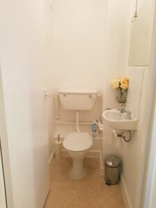Extra toilet