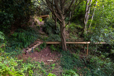 Along the private woodland path to the beach