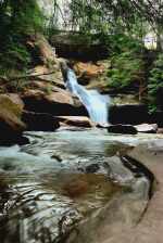 Cedar Falls