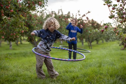 Children welcome - we have plenty of space to play and explore amongst the apple trees
