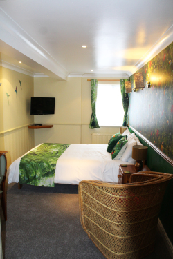 Double Room Premier Ensuite with Shower Tropical Nights