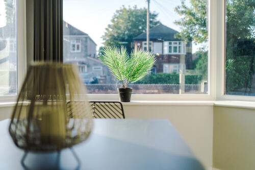 View from the dining area