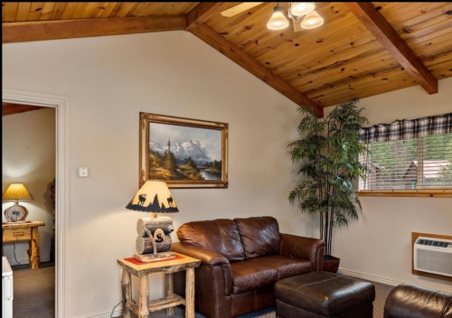 Cabin Living room