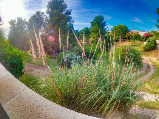 Vue pleine nature depuis le jardin