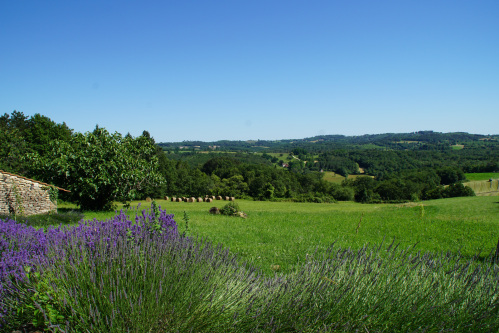 View of the valley Domaine de la licorne