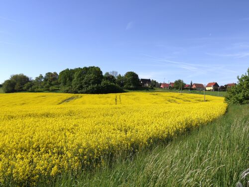 Fernblick vom Grundstück Richtung Maxen